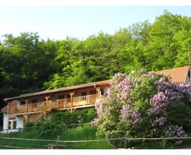Rodinný penzion je díky své poloze na samotě u lesa ideálním místem jak pro rodinnou rekreaci v okolí Blanska, tak pro aktivní dovolenou se sportovním vyžitím.
